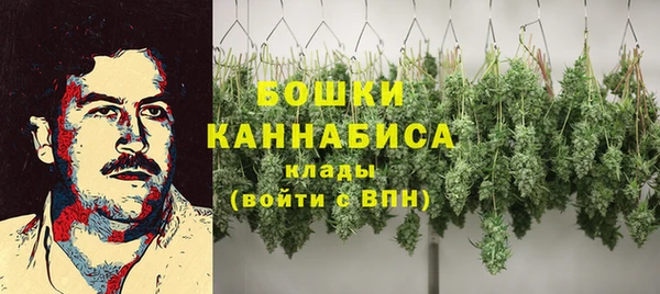 прущий лед Абаза