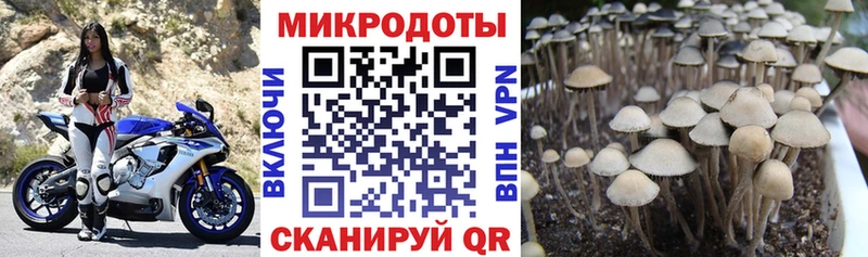Галлюциногенные грибы мухоморы  Полярные Зори 